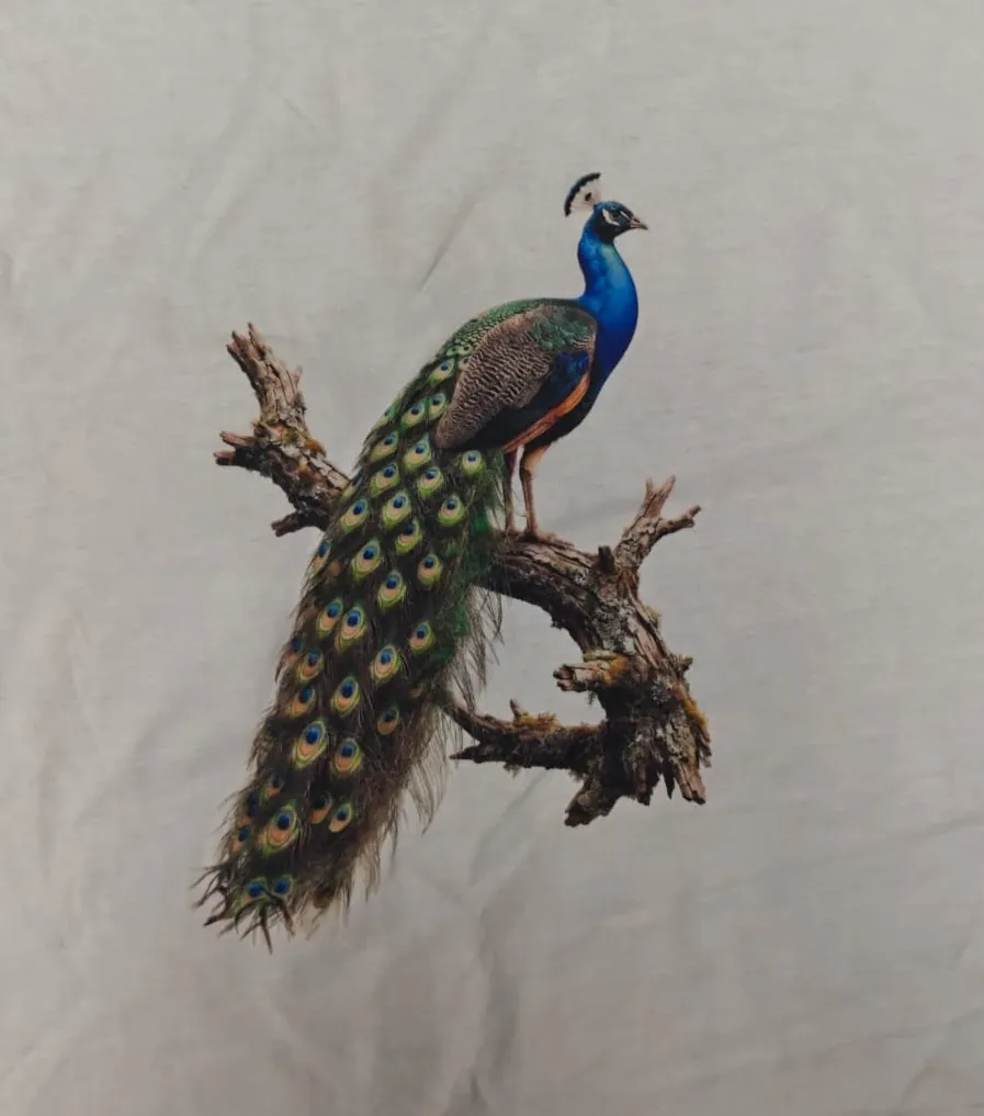 Digital textile print of a peacock motif with flock texture